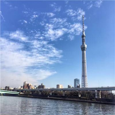 360魔卡幻想loli版下载